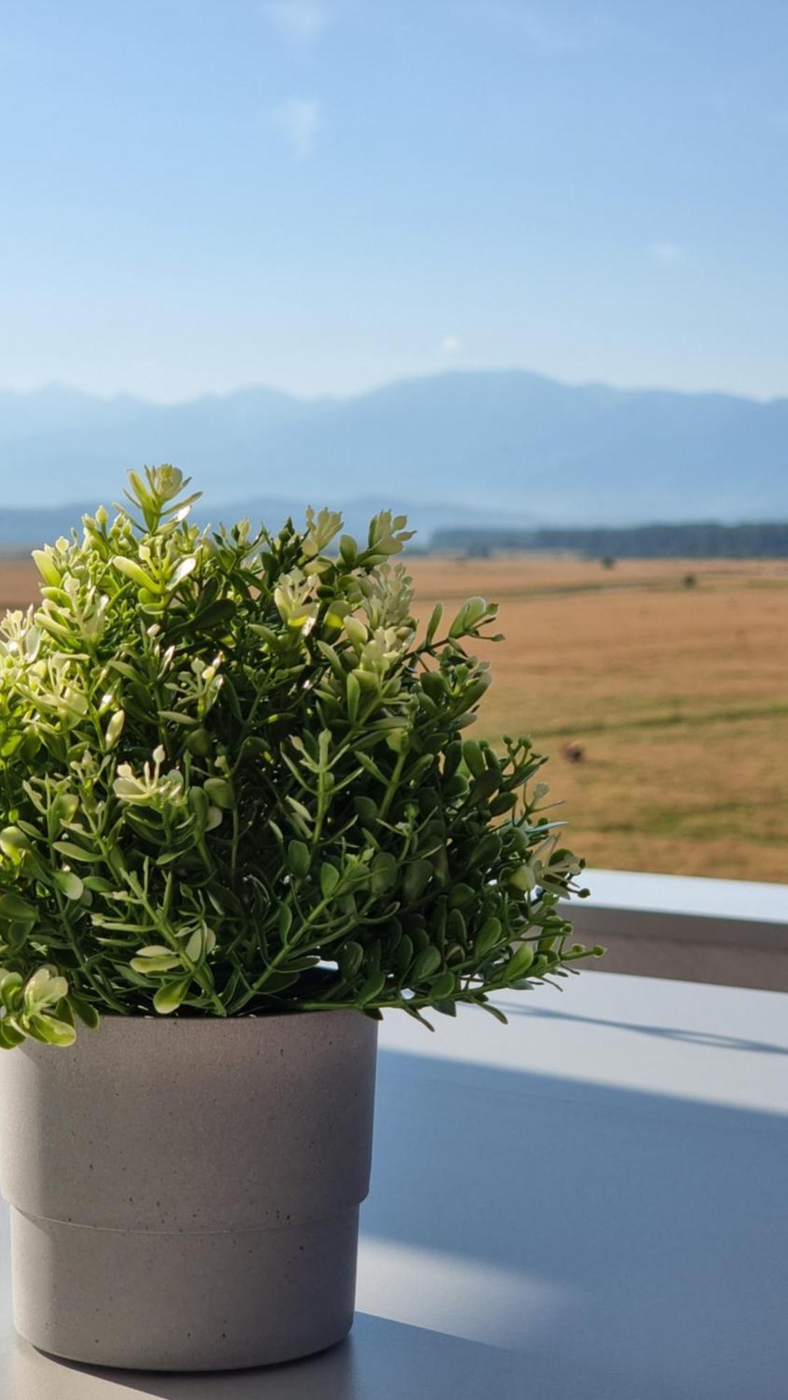Penthouse Mountain View * Hermannstadt
