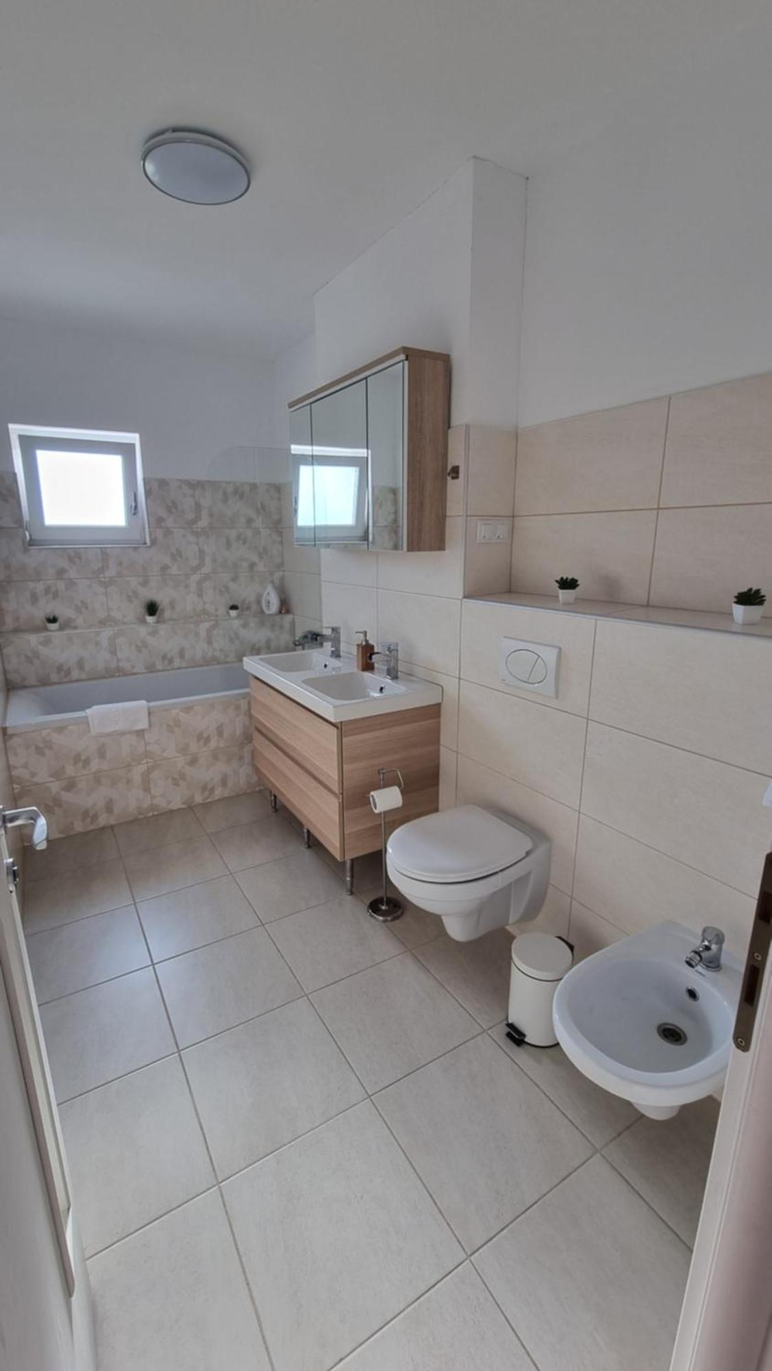 Apartment Penthouse Mountain View Hermannstadt